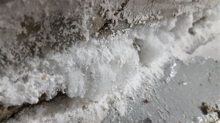 Why is mold growing on my couch