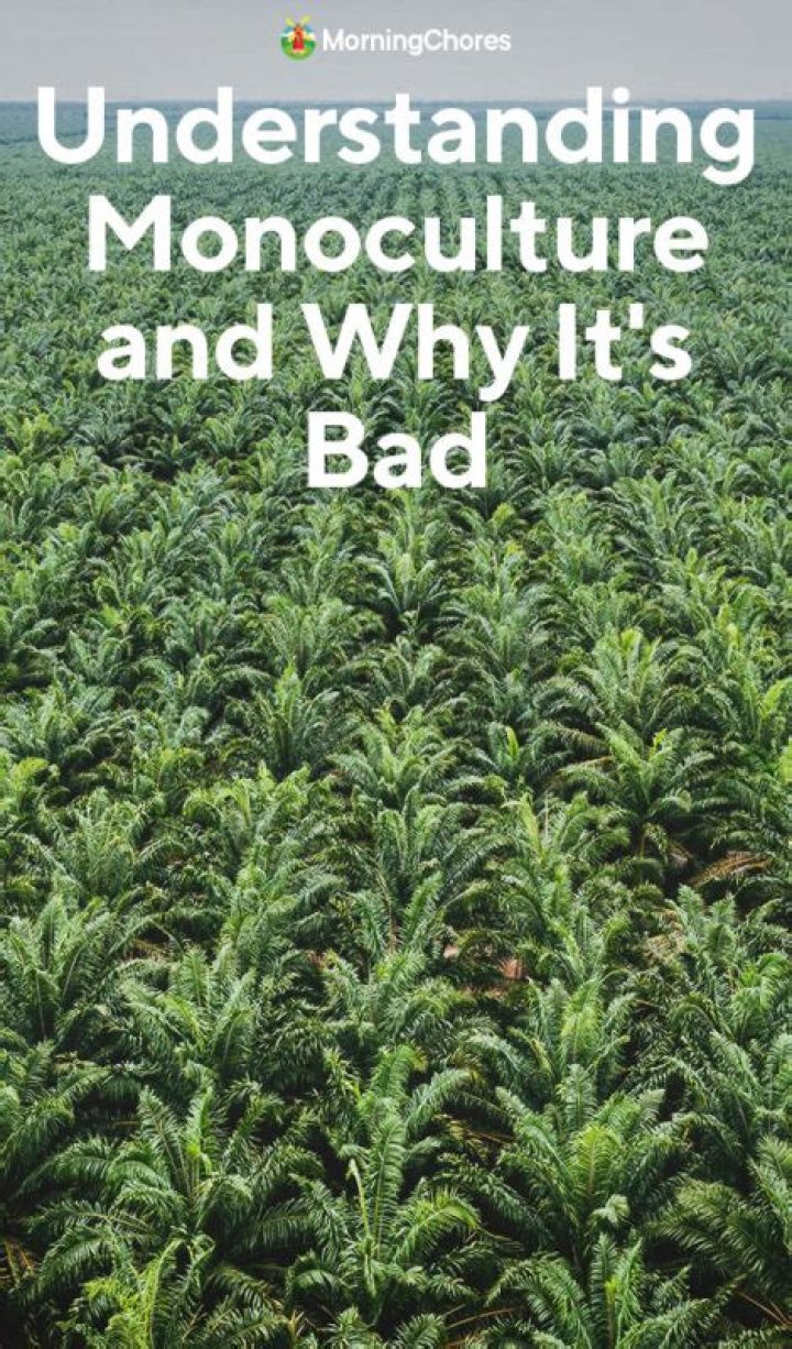 Why is monoculture a problem