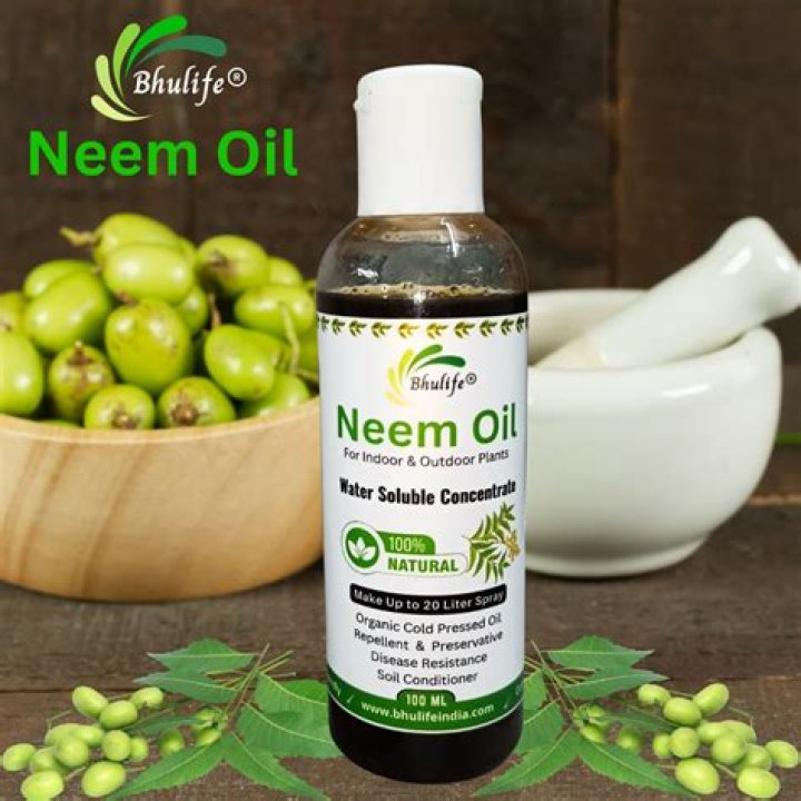 Why is Neem oil banned in UK