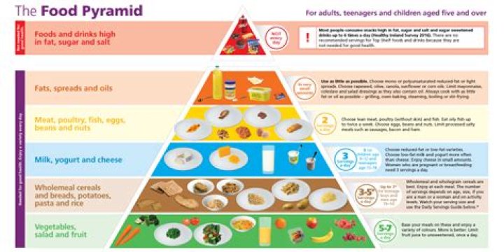 Why is the food pyramid a pyramid