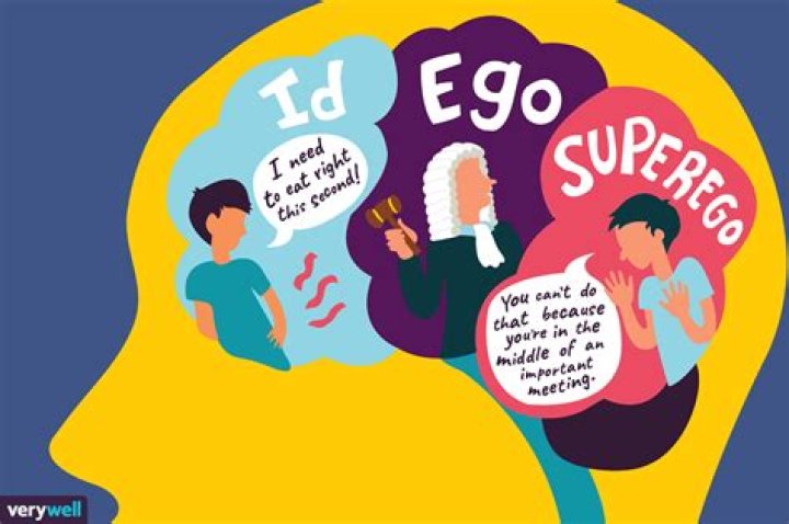 Why is the id ego and superego important