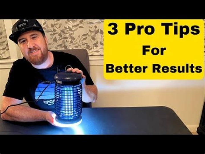 Will a bug zapper kill house flies