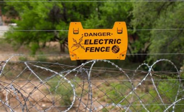 Will an electric fence kill plants