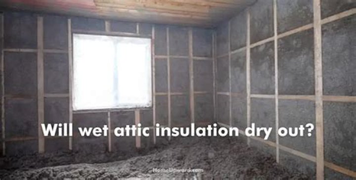 Will wet attic insulation dry out